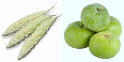 xcentax BITTER GOURD LONG, Tinda Seed Seed