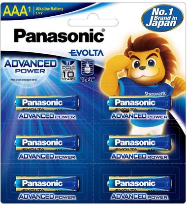 Panasonic LR03EGDG/1B6  Battery