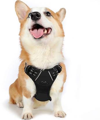 RABBITGOO Dog Cart Harness