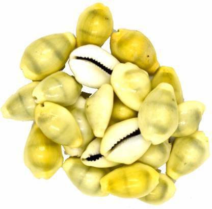 Cyan spritual original sea shell kaudi Lakshmi Peeli Yellow Kawri Kodi Peeli Cowrie Sea Shell | Laxmi and Diwali Pooja Article Kaudi Shells Stoneware Yantra (Pack of 21) Stoneware Yantra