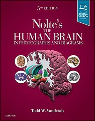 Nolte's The Human Brain in Photographs and Diagrams  - NOLTES THE HUMAN BRAIN IN PHOTOGRAPHS AND DIAGRAMS 5ED (PB 2020)