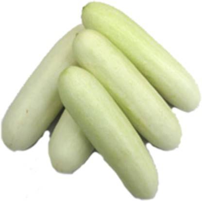 LADDU GOPAL Cucumber White/Kheera Seed