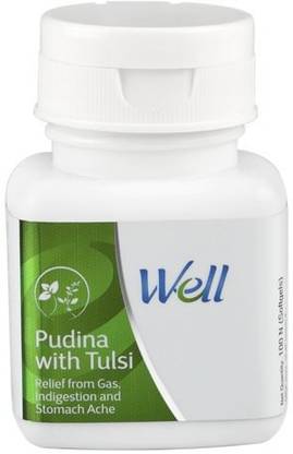 Well Pudina with Tulsi 100 softgels (Pack of 1)