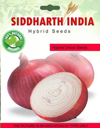 SIDDHARTH Hybrid Onion Seed
