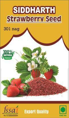 SIDDHARTH FISH FARM SIDDHARTH FISH FARM , STRAWBERRY SEED Seed