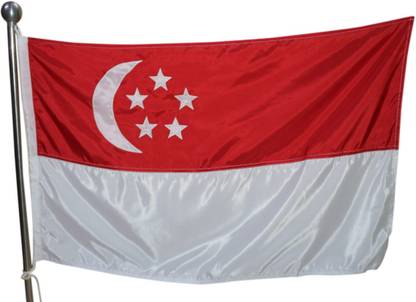 FlagSource SINGAPORE COUNTRY FLAG Rectangle Outdoor Flag
