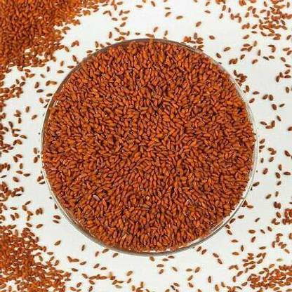 dbh box HALIM Seed
