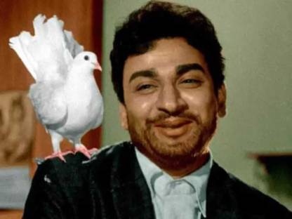 Dr Rajkumar Movies Set (204 Movies)