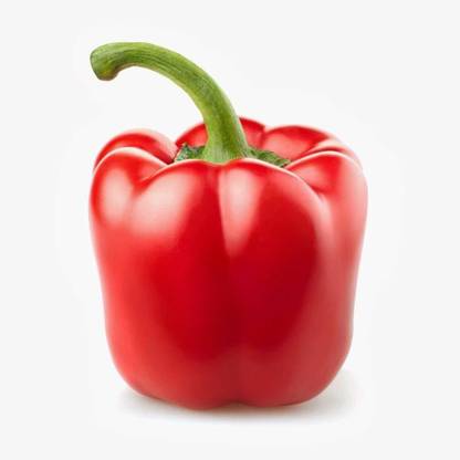 HARDIK ENTERPRISES red cupsicum Seed