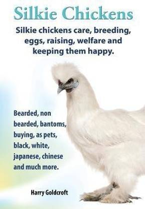 Silkie Chickens Care, Breeding, Eggs, Raising, Welfare and Keeping Them Happy