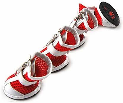THE DDS STORE Shoes for Dog
