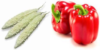 dreamseawaves BITTER GOURD LONG&Capsicum Red Seed