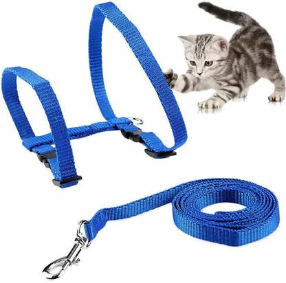Western Era Nylon Soft Adjustable Harness with Leash Rope Set for Cat (Blue) Cat Leash