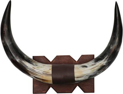 Loop Viking Vibes Original Horn Home Décor Item 14 inch Height with Real Horns – Wooden Base showpiece Product for Wall Decoration. Make Your Home and Office, Attractive and Different Decorative Showpiece - 35 cm