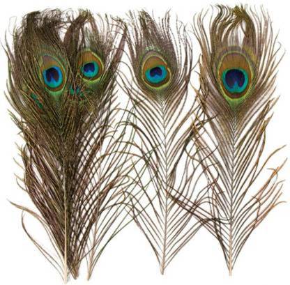 7 CLOUDS INDIA Pack of 20 Decorative Feathers