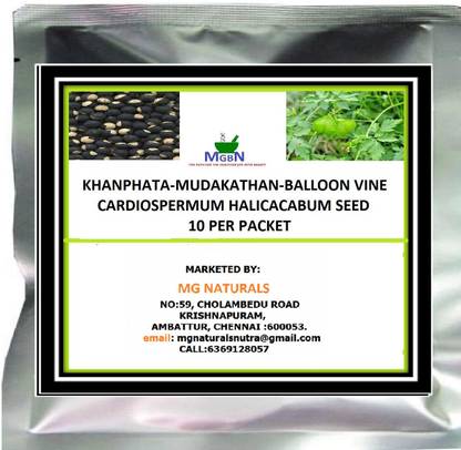 MGBN KHANPHATA-MUDAKATHAN-BALLOON VINE-CARDIOSPERMUM HALICACABUM SEED Seed