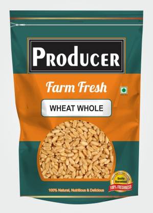 PRODUCER PREMIUM 1st GRADE SHARBATI WHOLE WHEAT GRAIN, 500g Whole Wheat