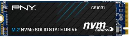 PNY NA 256 GB Laptop, Desktop Internal Solid State Drive (SSD) (CS1031 M.2)