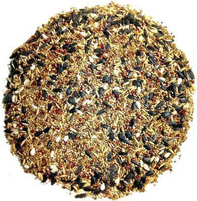 KG Creation Blue Bird Bird Feeder
