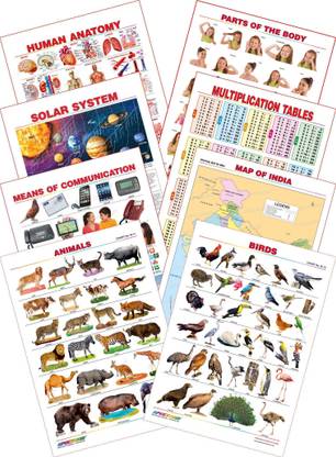 Spectrum Kid's 1st Learning Charts [S] : Set 30 (Human Anatomy, Parts of the Body, Solar System, Multiplication Tables, Map of India, Animals, Birds & Communications)