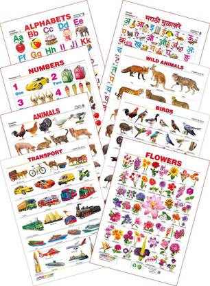Spectrum Kid's 1st Learning Charts [S] : Set 14 (English Alphabets, Marathi Mulakshare, Numbers 1 to 10, Wild Animals, Domestic Animals, Birds, Transport & Flowers)