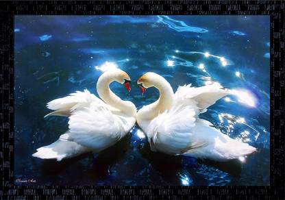 Janki Love Bird Duck in Water Wall Painting with frame home decoration item Canvas 14 inch x 20 inch Painting