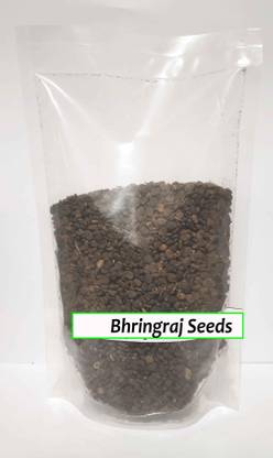 vrajvasi Bhringaraj Seeds Seed