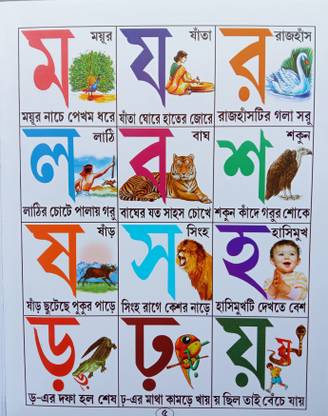 M E Mayur Nache Pakham Dhore