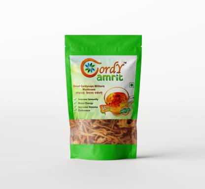 CORDY AMRIT CORDYCEP MILITARIS MUSHROOM