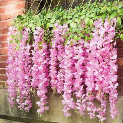 well art gallery Artificial Fake Flowers Vine Silk Big Wisteria Hanging Garland String for Party Garden & Home Decoration Garlands Leaves not Include Perfect Product for Decor (Set of 6) (pink) Pink Westeria Artificial Flower