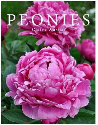 Peonies