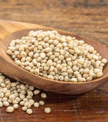 PRODUCER PREMIUM JOWAR (Sorghum), 1kg Sorghum