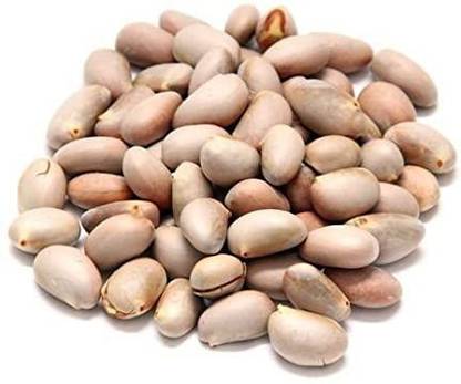 KRISHNA JACK FRUIT SEED Seed