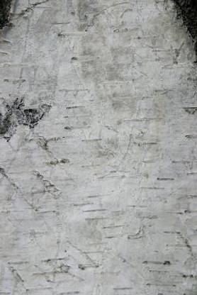 The Decisive Battles of World History