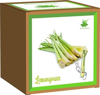 Sow and Grow Lemongrass Seed