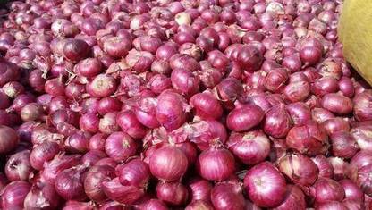 LYRS Red Hybrid Onion Seeds- 130 Seed
