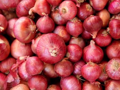 LYRS Lal Pyaj Onion Seeds- 120 Seed