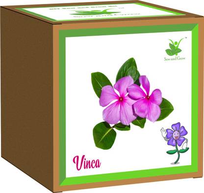 Sow and Grow Vinca Seed