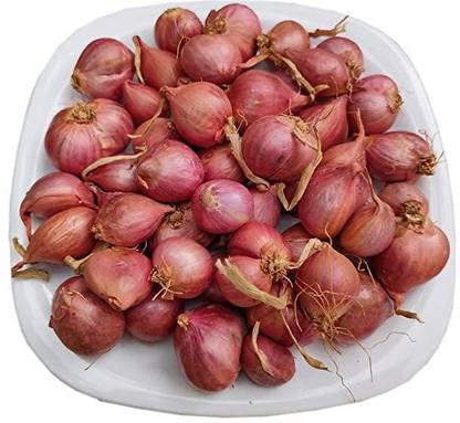 LYRS Onion Seed
