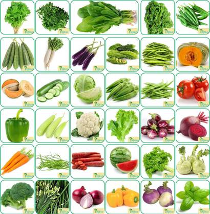 Agnico Agnico 35 Varieties of Vegetable Seeds 2100+ Germination Seeds For Your Garden With Instruction Manual Seed