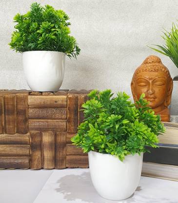 Flipkart SmartBuy Set of 2 Mini Green Table plant for home office , decoration Bonsai Wild Artificial Plant  with Pot
