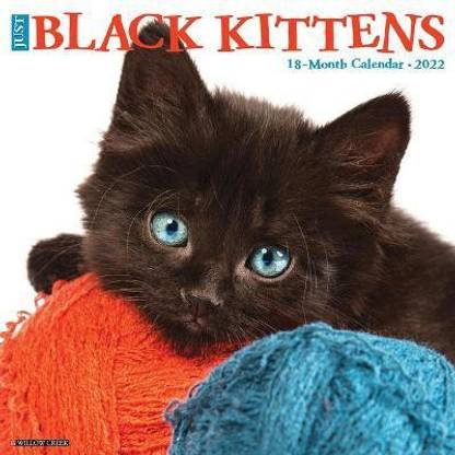 Just Black Kittens 2022 Wall Calendar