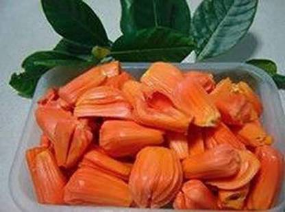 JD DAS AND SONS PLANTS Jack Fruit Plant