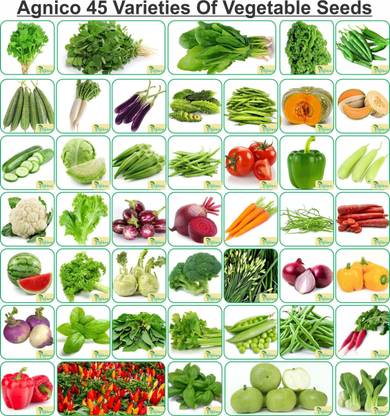 Agnico Agnico 45 Varieties of Vegetable Seeds Seed