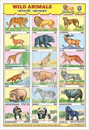 WILD ANIMALS CHART [Wall Chart] BOOK DEPOT (MAP HOUSE) Paper Print