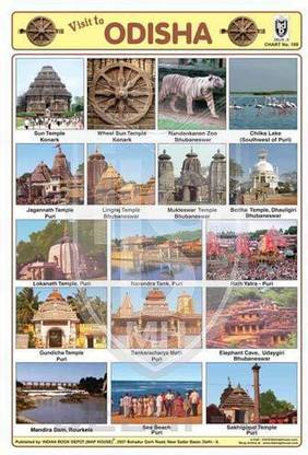 18 PHOTOS BIRDS CHART [Wall Chart] BOOK DEPOT (MAP HOUSE) Paper Print