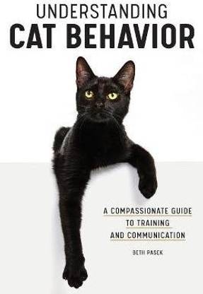 Understanding Cat Behavior