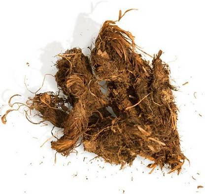 Nutrixia food Jatamansi ,Indian Spikenard,Nardostachys jatamansi Seed