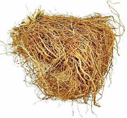 Nutrixia food Vetiver roots , Vetiver Ki Jade Seed