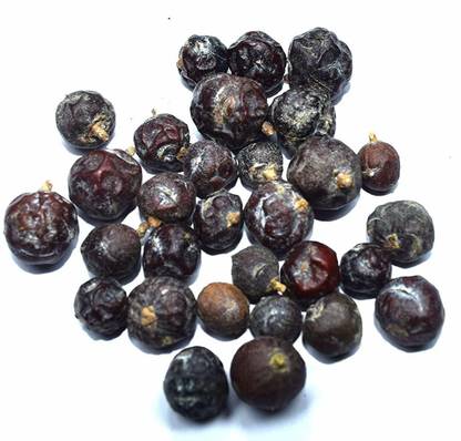 Nutrixia food Hauber , Juniperus Communis Linn , Juniper Berry Seed
